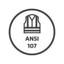ANSI 107